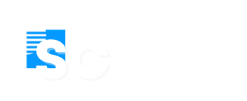 Steady Fast councelling Logo